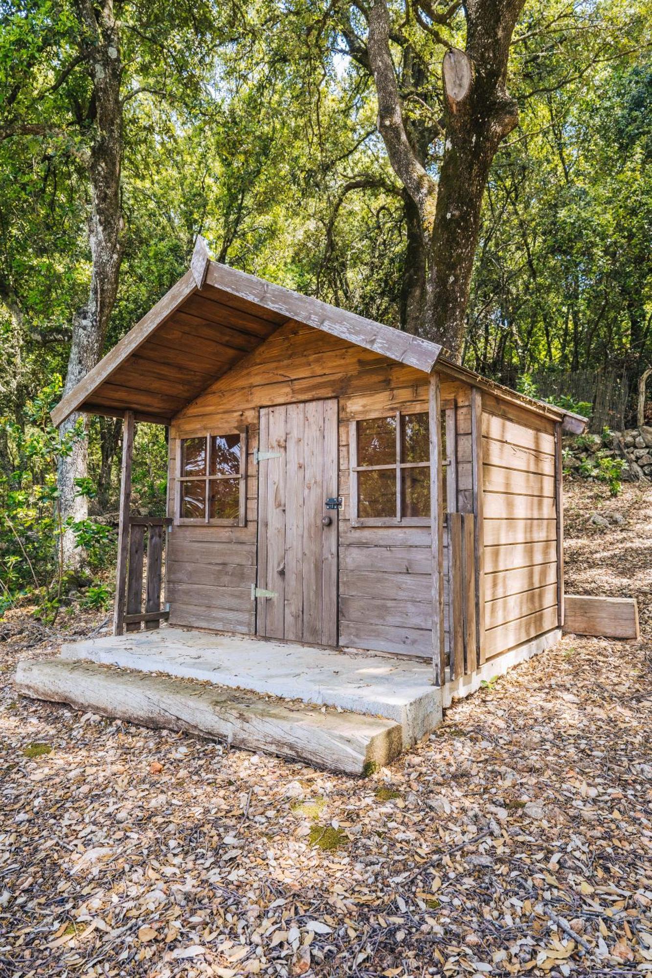 Ca'S Pastor - Chalet De Montana エスコルカ エクステリア 写真
